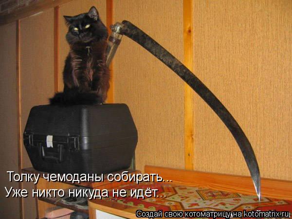 Толку чемоданы собирать... Уже никто никуда не идёт...... Котоматрица: Толку чемоданы собирать... Уже никто никуда не идёт...