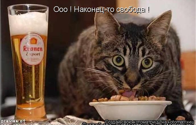 Ооо ! Наконец-то свобода !... Котоматрица: Ооо ! Наконец-то свобода !