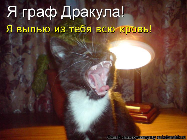 Я граф Дракула! Я выпью из тебя всю кровь!... Котоматрица: Я граф Дракула! Я выпью из тебя всю кровь!