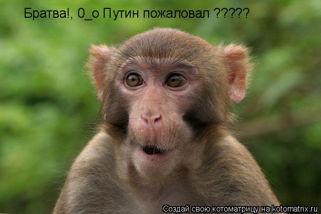 Братва!, 0_о Путин пожаловал ?????... Котоматрица: Братва!, 0_о Путин пожаловал ?????