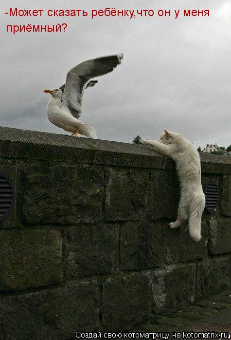 -Может сказать ребёнку,что он у меня приёмный?... Котоматрица: -Может сказать ребёнку,что он у меня приёмный?