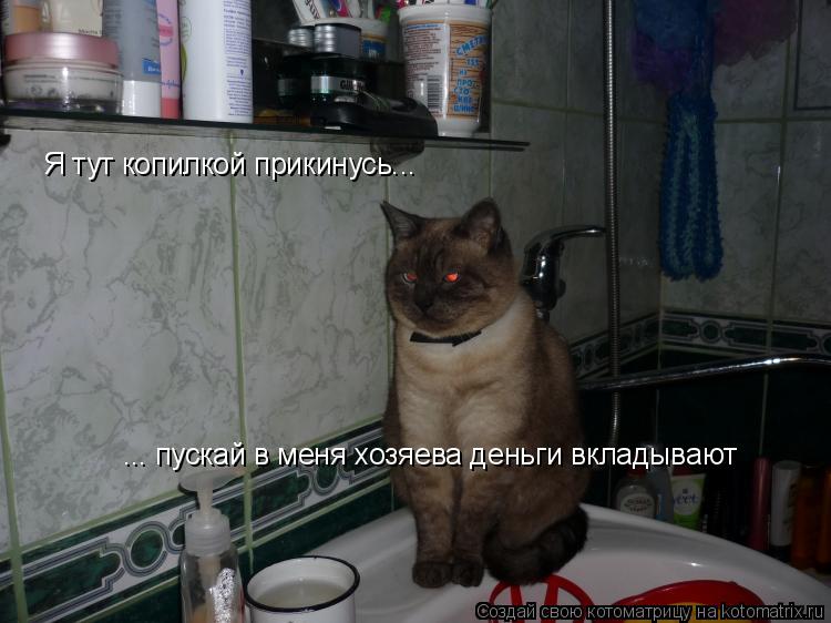 Я тут копилкой прикинусь... ... пускай в меня хозяева деньги вкладывают... Котоматрица: Я тут копилкой прикинусь... ... пускай в меня хозяева деньги вкладывают