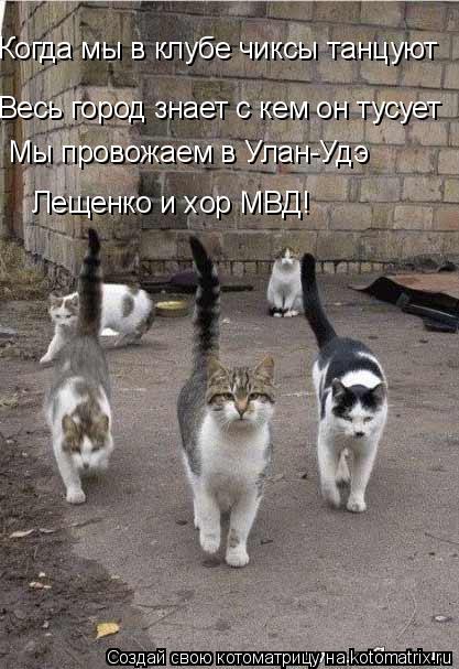 Когда мы в клубе чиксы танцуют Весь город знает с кем он тусует Мы провожаем в Улан-Удэ Лещенко и хор... Котоматрица: Когда мы в клубе чиксы танцуют Весь город знает с кем он тусует Мы провожаем в Улан-Удэ Лещенко и хор МВД!