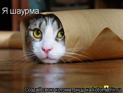 Я шаурма... Котоматрица: Я шаурма