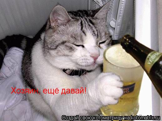 Хозяин, ещё давай!... Котоматрица: Хозяин, ещё давай!