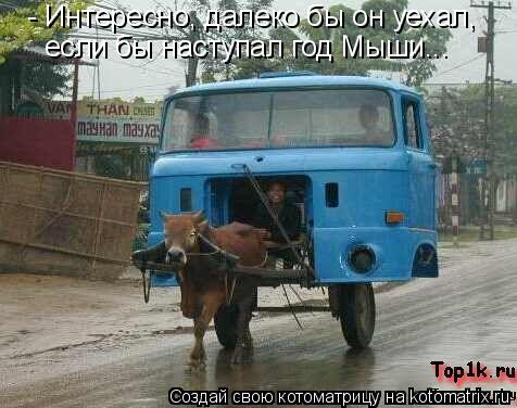 - Интересно, далеко бы он уехал, если бы наступал год Мыши...... Котоматрица: - Интересно, далеко бы он уехал, если бы наступал год Мыши...