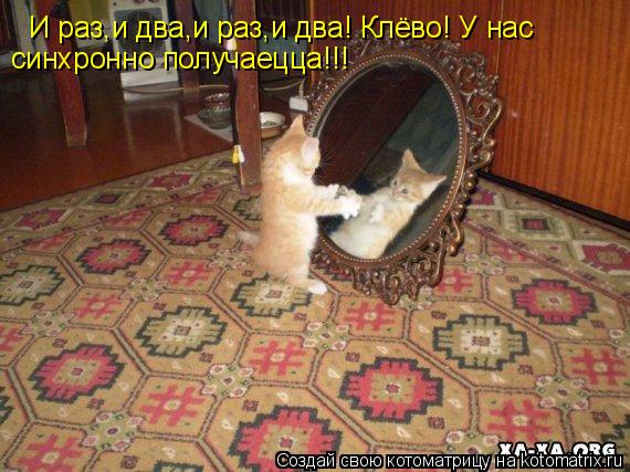 И раз,и два,и раз,и два! Клёво! У нас синхронно получаецца!!!... Котоматрица: И раз,и два,и раз,и два! Клёво! У нас синхронно получаецца!!!