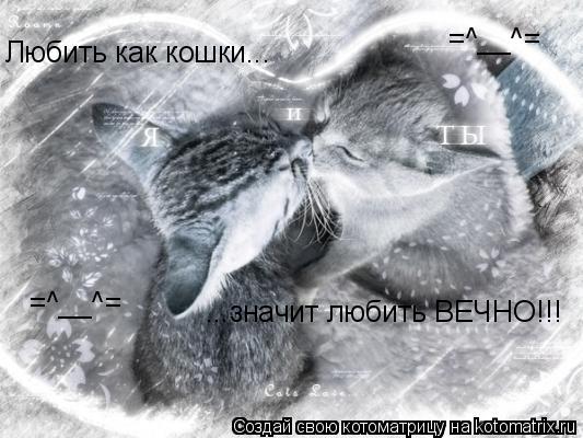 Любить как кошки... ...значит любить ВЕЧНО!!! =^__^= =^__^=... Котоматрица: Любить как кошки... ...значит любить ВЕЧНО!!! =^__^= =^__^=