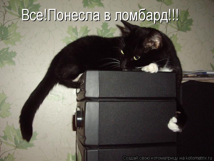 Все!Понесла в ломбард!!!... Котоматрица: Все!Понесла в ломбард!!!