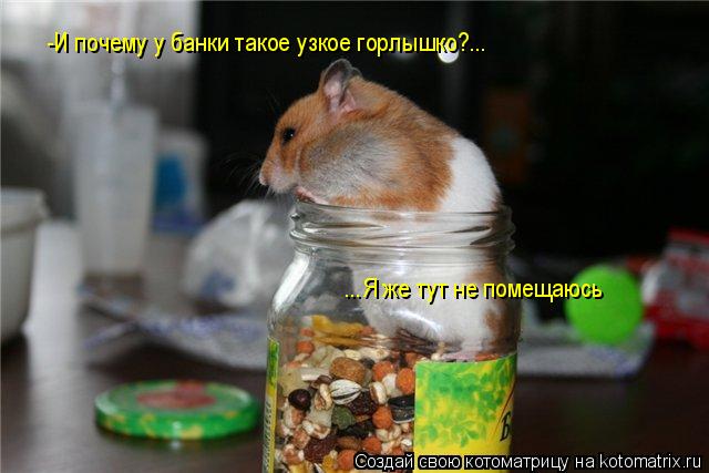 -И почему у банки такое узкое горлышко?... ...Я же тут не помещаюсь... Котоматрица: -И почему у банки такое узкое горлышко?... ...Я же тут не помещаюсь
