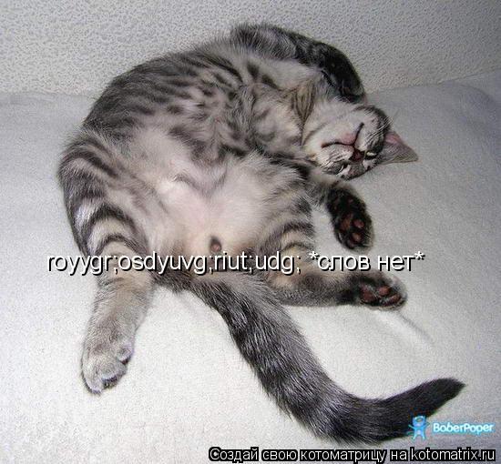 royygr;osdyuvg;riut;udg; *слов нет*... Котоматрица: royygr;osdyuvg;riut;udg; *слов нет*