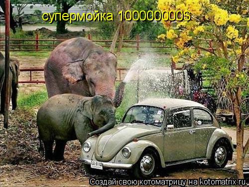 супермойка 100000000$... Котоматрица: супермойка 100000000$
