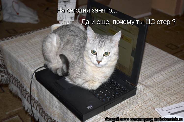 На сегодня занято... Да и еще, почему ты ЦС стер ?... Котоматрица: На сегодня занято... Да и еще, почему ты ЦС стер ?