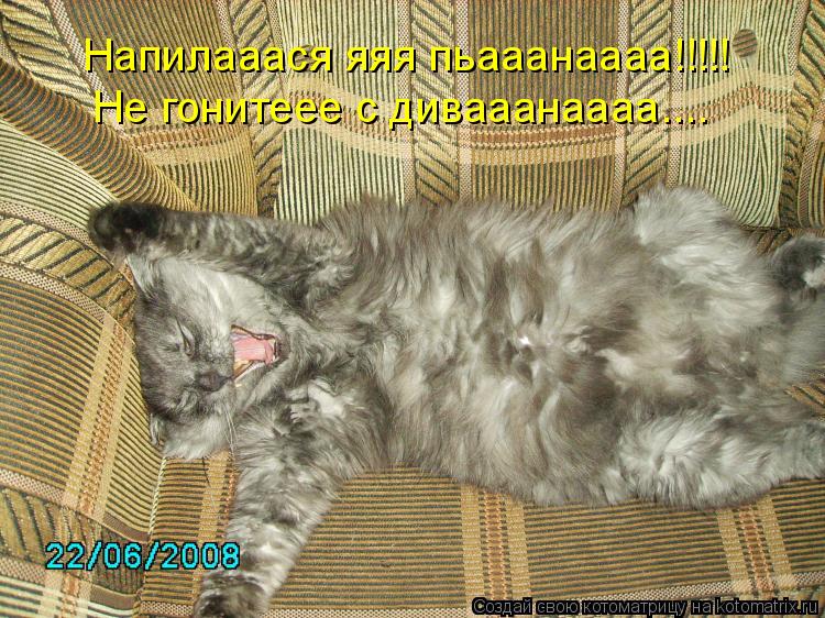 Напилааася яяя пьааанаааа!!!!! Не гонитеее с дивааанаааа....... Котоматрица: Напилааася яяя пьааанаааа!!!!! Не гонитеее с дивааанаааа....