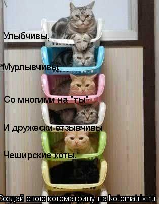 Улыбчивы, Мурлывчивы, Со многими на "ты" И дружески отзывчивы Чеширские коты.... Котоматрица: Улыбчивы, Мурлывчивы, Со многими на "ты" И дружески отзывчивы Чеширские коты.