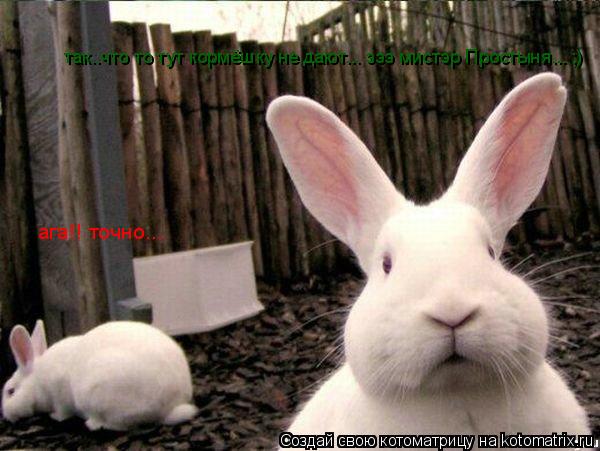 так..что то тут кормёшку не дают... эээ мистэр Простыня... ;) ага!! точно...... Котоматрица: так..что то тут кормёшку не дают... эээ мистэр Простыня... ;) ага!! точно...