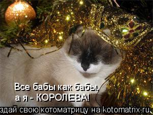 Все бабы как бабы, а я - КОРОЛЕВА!... Котоматрица: Все бабы как бабы, а я - КОРОЛЕВА!