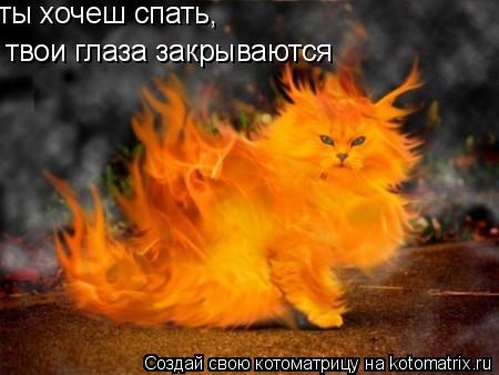 ты хочеш спать, твои глаза закрываются... Котоматрица: ты хочеш спать, твои глаза закрываются