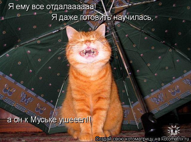 Я ему все отдалаааааа! Я даже готовить научилась, а он к Муське ушееел!!... Котоматрица: Я ему все отдалаааааа! Я даже готовить научилась, а он к Муське ушееел!!