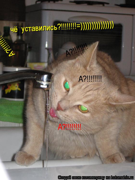 чё уставились?!!!!!!!!=))))))))))))))) А?!!!!!!!! А?!!!!!!!! А?!!!!!!!! А?!!!!!!!!... Котоматрица: чё уставились?!!!!!!!!=))))))))))))))) А?!!!!!!!! А?!!!!!!!! А?!!!!!!!! А?!!!!!!!!