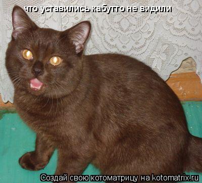 что уставились кабутто не видили... Котоматрица: что уставились кабутто не видили