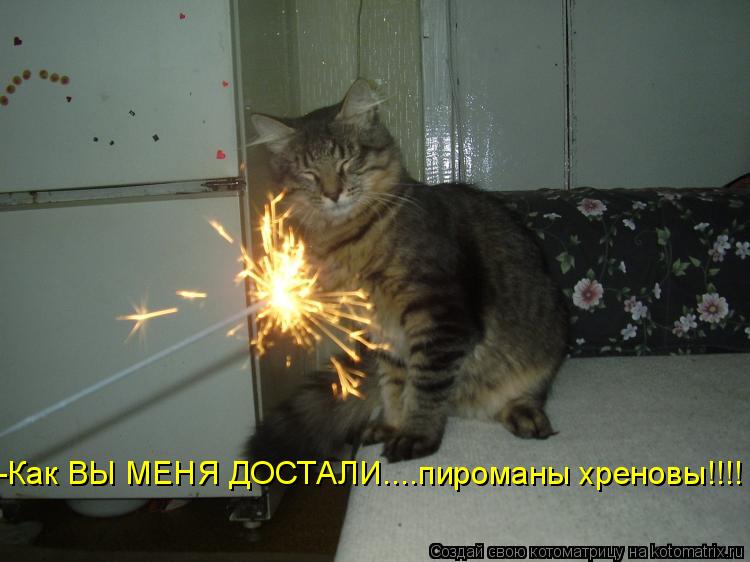 -Как ВЫ МЕНЯ ДОСТАЛИ....пироманы хреновы!!!!... Котоматрица: -Как ВЫ МЕНЯ ДОСТАЛИ....пироманы хреновы!!!!
