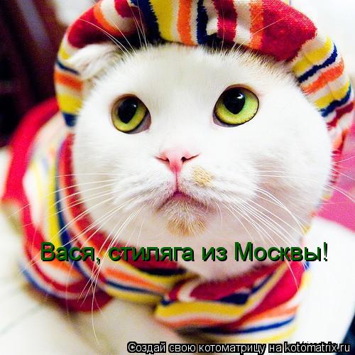 Вася, стиляга из Москвы!... Котоматрица: Вася, стиляга из Москвы!
