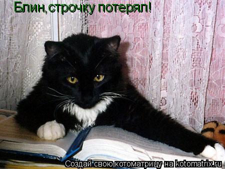 Блин,строчку потерял!... Котоматрица: Блин,строчку потерял!