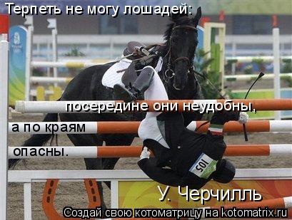 Терпеть не могу лошадей: посередине они неудобны, а по краям опасны. У. Черчилль... Котоматрица: Терпеть не могу лошадей: посередине они неудобны, а по краям опасны. У. Черчилль