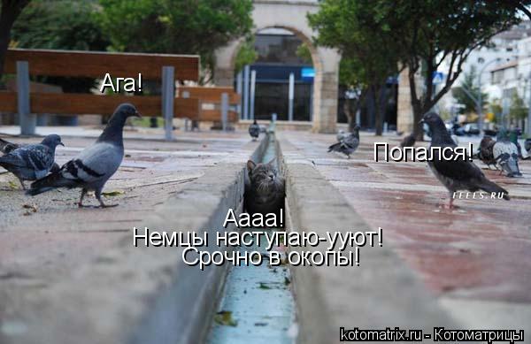 Аааа! Немцы наступаю-ууют! ... Котоматрица: Аааа! Немцы наступаю-ууют! С