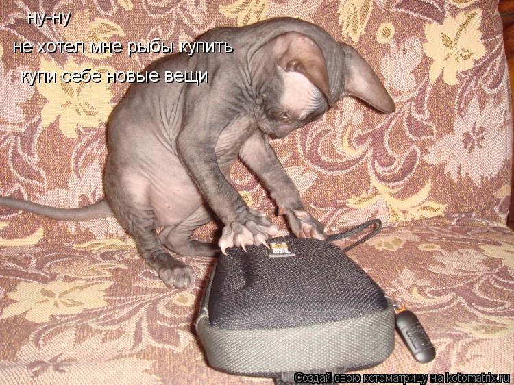 ну-ну ну-ну не хотел мне рыбы купить купи себе новые вещи... Котоматрица: ну-ну ну-ну не хотел мне рыбы купить купи себе новые вещи