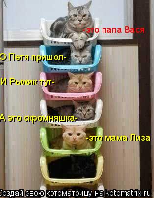 -это папа Вася -это мама Лиза А это скромняшка- О Петя пришол- И Рыжик тут-... Котоматрица: -это папа Вася -это мама Лиза А это скромняшка- О Петя пришол- И Рыжик тут-