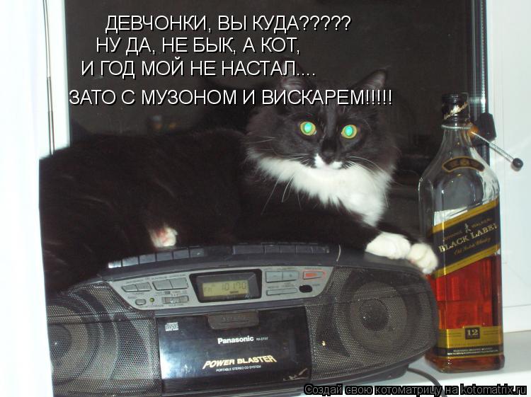 ДЕВЧОНКИ, ВЫ КУДА????? НУ ДА, НЕ БЫК, А КОТ, И ГОД МОЙ НЕ НАСТАЛ.... ЗАТО С МУЗОНОМ И ВИСКАРЕМ!!!!!... Котоматрица: ДЕВЧОНКИ, ВЫ КУДА????? НУ ДА, НЕ БЫК, А КОТ, И ГОД МОЙ НЕ НАСТАЛ.... ЗАТО С МУЗОНОМ И ВИСКАРЕМ!!!!!