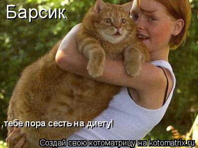 Барсик ,тебе пора сесть на диету!... Котоматрица: Барсик ,тебе пора сесть на диету!