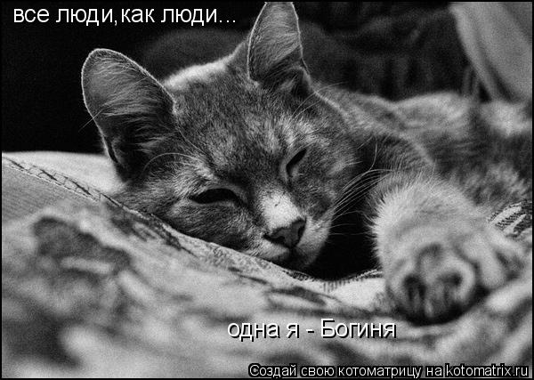 все люди,как люди... одна я - Богиня... Котоматрица: все люди,как люди... одна я - Богиня