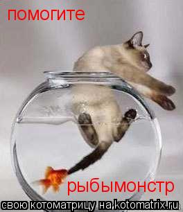 помогите рыбымонстр... Котоматрица: помогите рыбымонстр