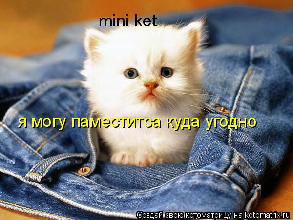 mini ket я могу паместитса куда угодно... Котоматрица: mini ket я могу паместитса куда угодно