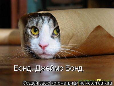 Бонд. Джеймс Бонд.... Котоматрица: Бонд. Джеймс Бонд.