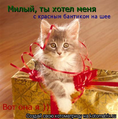 Милый, ты хотел меня с красным бантиком на шее Вот она я ))... Котоматрица: Милый, ты хотел меня с красным бантиком на шее Вот она я ))