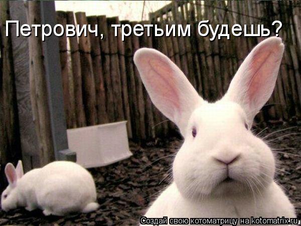 Петрович, третьим будешь?... Котоматрица: Петрович, третьим будешь?