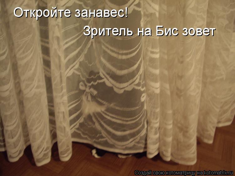 Откройте занавес! Зритель на Бис зовет... Котоматрица: Откройте занавес! Зритель на Бис зовет