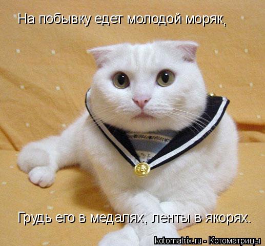 На побывку едет молодой моряк Грудь его в медалях, ленты в якорях. ,... Котоматрица: На побывку едет молодой моряк Грудь его в медалях, ленты в якорях. ,