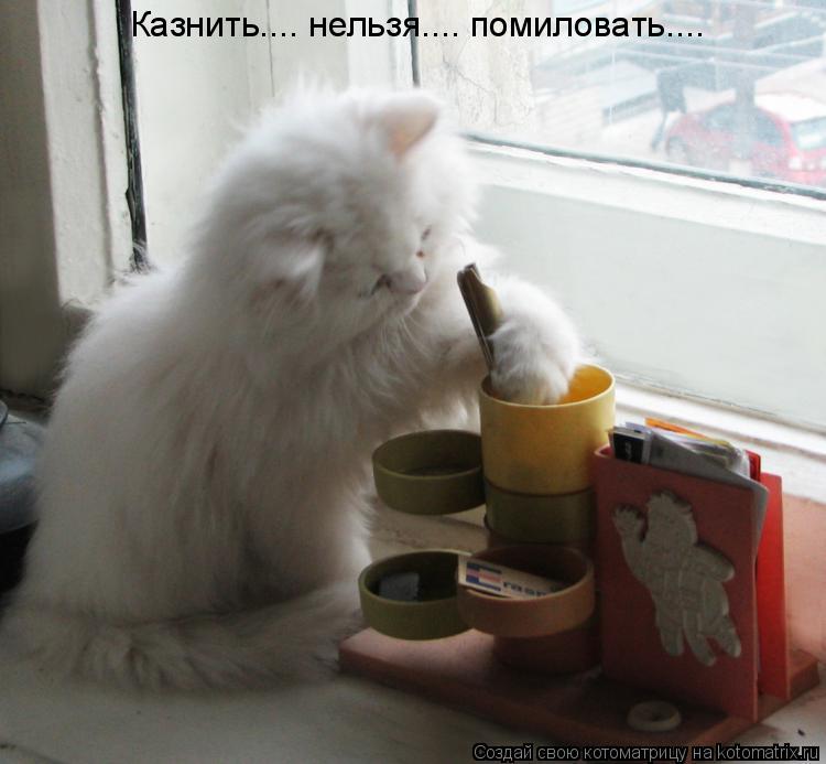 Казнить.... нельзя.... помиловать....... Котоматрица: Казнить.... нельзя.... помиловать....
