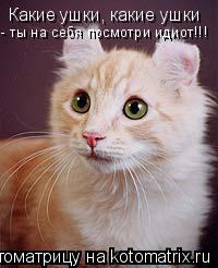 Какие ушки, какие ушки - ты на себя посмотри идиот!!!... Котоматрица: Какие ушки, какие ушки - ты на себя посмотри идиот!!!
