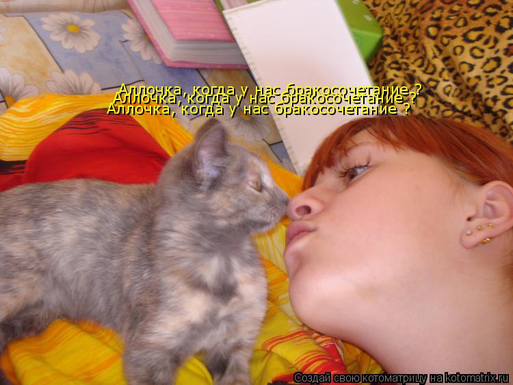 Аллочка, когда у нас бракосочетание ? Аллочка, когда у нас бракосочетание ? Аллочка, когда у нас брак... Котоматрица: Аллочка, когда у нас бракосочетание ? Аллочка, когда у нас бракосочетание ? Аллочка, когда у нас бракосочетание ?