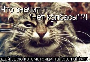 Что значит "Нет колбасы"?!... Котоматрица: Что значит "Нет колбасы"?!
