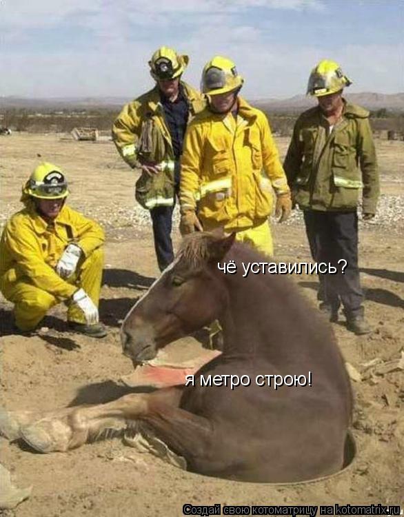 чё уставились? я метро строю!... Котоматрица: чё уставились? я метро строю!