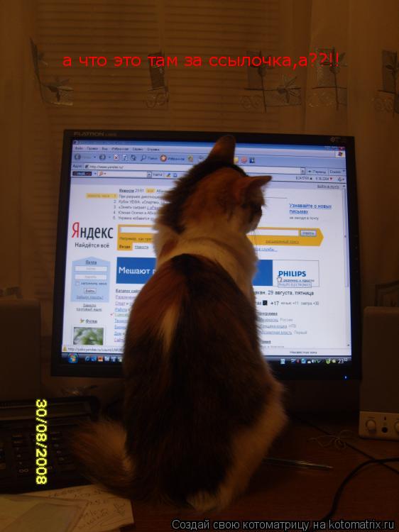 а что это там за ссылочка,а??!!... Котоматрица: а что это там за ссылочка,а??!!