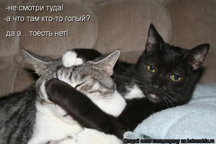 -не смотри туда! -а что там кто-то голый? да э... тоесть нет!... Котоматрица: -не смотри туда! -а что там кто-то голый? да э... тоесть нет!