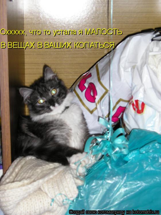 В ВЕЩАХ В ВАШИХ КОПАТЬСЯ Оххххх, что то устала я МАЛОСТЬ... Котоматрица: В ВЕЩАХ В ВАШИХ КОПАТЬСЯ Оххххх, что то устала я МАЛОСТЬ